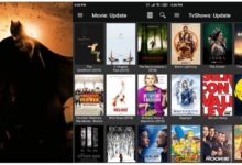 Exploring MultiMovies APK: A World of Movies at Your Fingertips