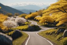 Discover the Magic of Yellow Spring Road in Japan: Your 2024 Travel Guide